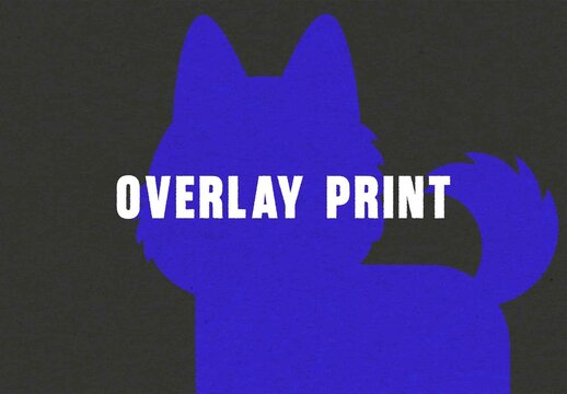 Overlay Print Photo Effect