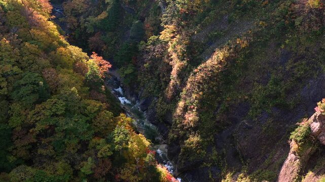 城ヶ倉渓流の紅葉