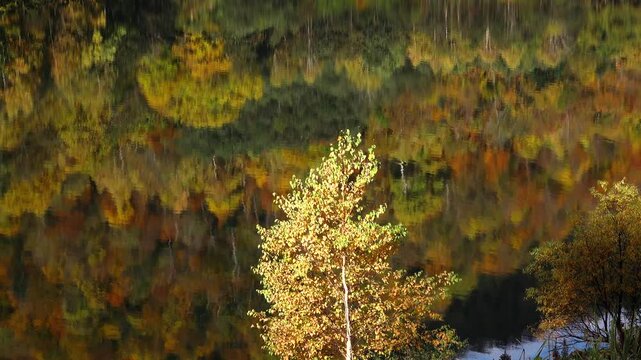 さっぽろ湖の水面に映る紅葉