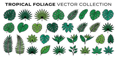 Naklejka premium Tropical Foliage Collection