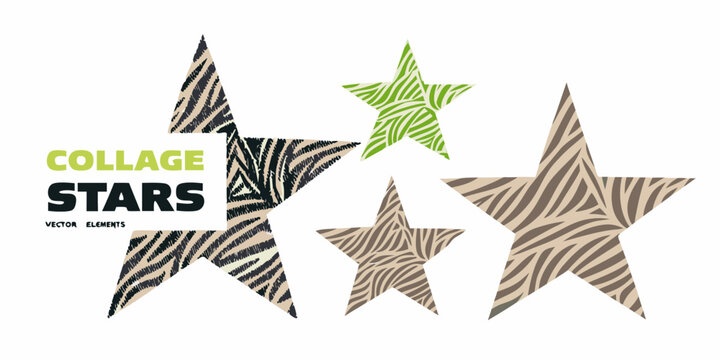Collage stars vector illustration with animal print patterns on white background