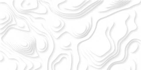 Abstract topography pattern seamless lines sea map modern design white background. Abstract digital topographic contour map concept space geometric strip grid line. Natural discovery of maps. © coal digger