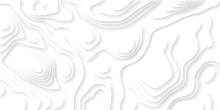 Abstract topography pattern seamless lines sea map modern design white background. Abstract digital topographic contour map concept space geometric strip grid line. Natural discovery of maps.