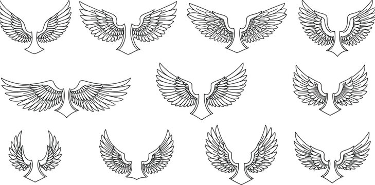 Wing illustration set, stylized feather designs, symmetrical vector wings, tattoo art, graphic elements, shield shape, fantasy flight icons