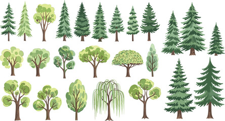 Tree collection illustration, coniferous and deciduous types, foliage styles, botanical clipart, landscape vector, nature design, forest elements © Fenshi