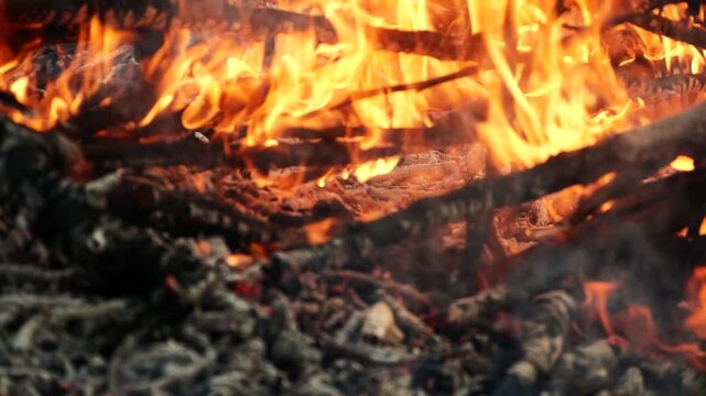 Closeup burning campfire, fire flames on wood logs and tree branches in forest