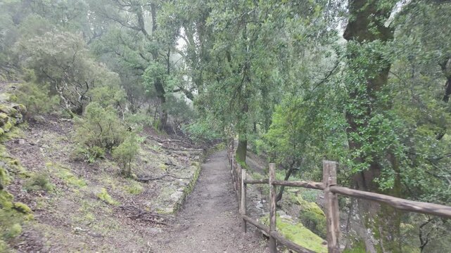 POV Walking along Mountain Forest Hiking Trail with Wooden Fence in Sardinia Italy