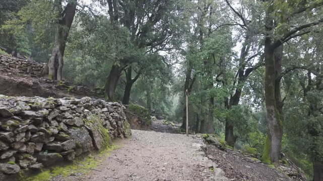 POV Walking Mountain Forest Hiking Trail and Stone Wall on Gorropu Canyon Path in Sardinia Italy