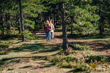 Fototapeta premium Women hiking forest trail using trekking poles