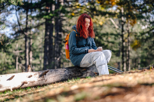 Woman hiking in forest pausing using phone on log