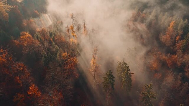Aerial view of misty autumn forested hills bathed in warm morning light. Colorful fall foliage, drifting fog and layered mountain ridges create a serene cinematic landscape.