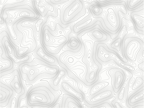 A highly detailed, computer-generated topographic map illustration featuring an intricate network of wavy gray contour lines on a white background, showcasing varying line