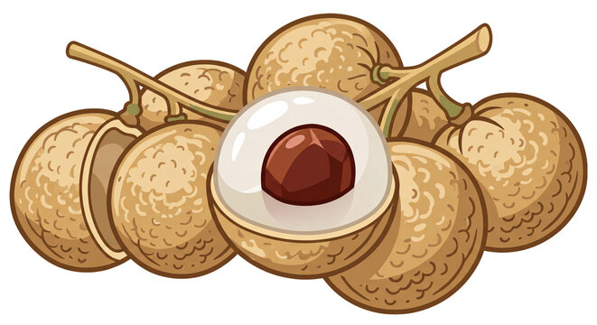 Bunch of Fresh Longan Fruits with One Peeled