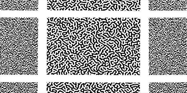 Scientific microbiology gallery presentation bundle featuring organic turing pattern cell structures in three distinct vertical layouts, vector art