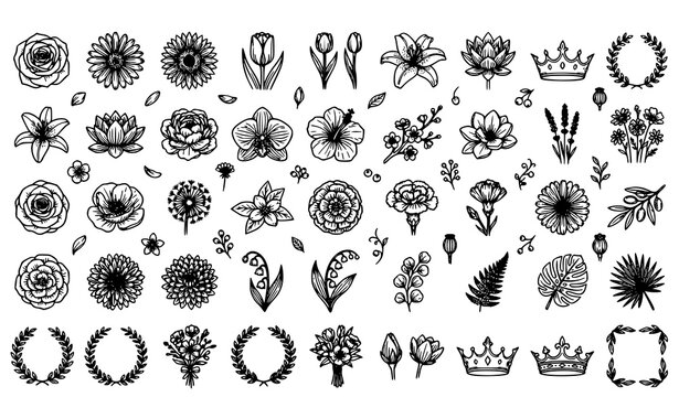 Floral Elements Collection with Flowers Wreaths Bouquets and Botanical Outline Illustrations