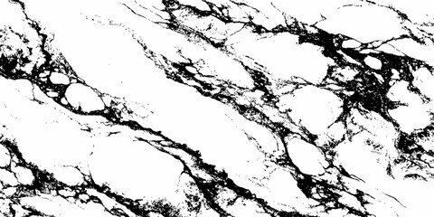 Fototapeta premium Elegant White Marble Background with Dramatic Black Veining Luxury Stone Texture Design.