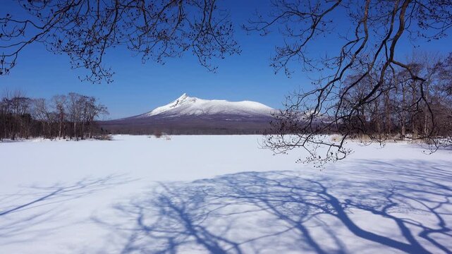 大沼と駒ケ岳