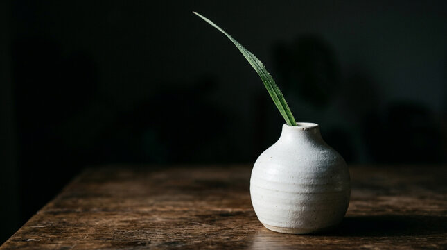 Single Green Leaf in Ceramic Vase on Table