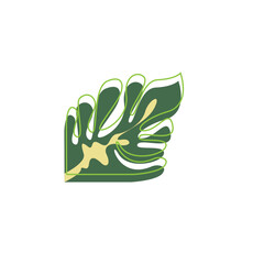 Stylized Monstera Leaf Vector Illustration © marlan