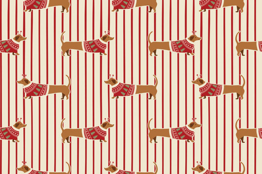 Christmas dachshund wearing sweater in red striped seamless pattern. Hand drawn vintage winter holiday print with dog, New Year repeat background, wallpaper, print, gift paper. Cute vector graphics.