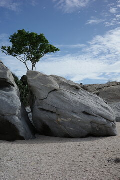 Rock in the shape of a cat's head