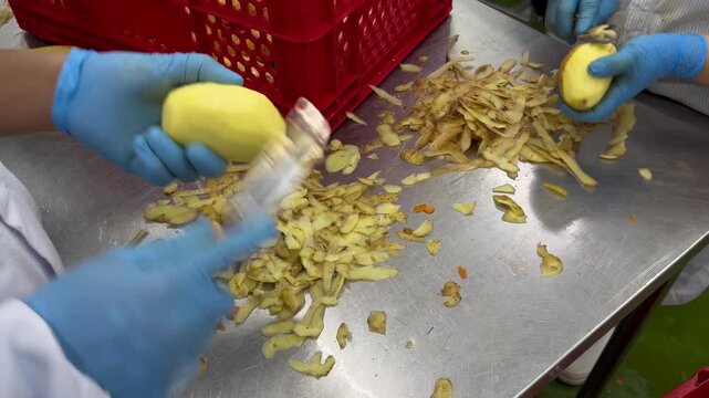 Worker manually peeling fresh potatoes during ingredient preparation in a food manufacturing facility. Raw material preparation process supporting commercial food production, recipe preparation, and l