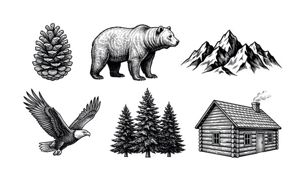 Wilderness adventure icon set featuring bears, eagles, mountains, cabins, pine forests, camping and wildlife