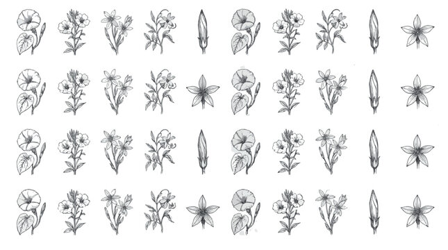 Moonlit Night Bloom Botanical Plants Flowers Sets Pack, Editable Vectors Strokes Illustrations. containing botanical, illustration, flower, nature, flora, vintage, drawing and mores Plants Flowers.