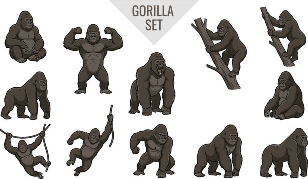 Gorilla character set vector illustration with strong silverback apes standing climbing swinging on vines and flexing muscles