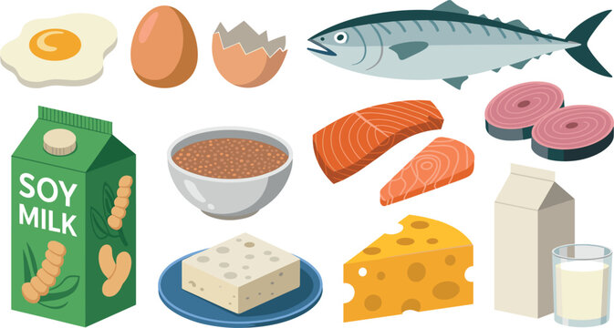Flat Style High Protein Food Vector Set Featuring Eggs Fish Salmon Tuna Soy Milk Tofu Cheese Lentils And Dairy Products For Healthy Nutrition And Diet Design
