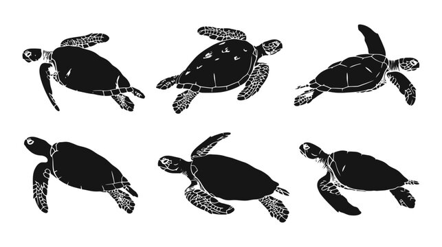 Vintage sea turtle silhouettes, set of 6 hand drawn marine reptile vectors, black sea turtle icons for ocean conservation and beach branding