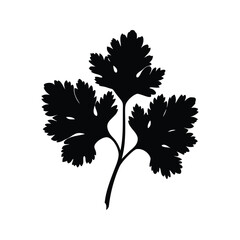 Fototapeta premium Elegant black and white cilantro leaf silhouette vector illustration design, cilantro seed silhouette vector illustration