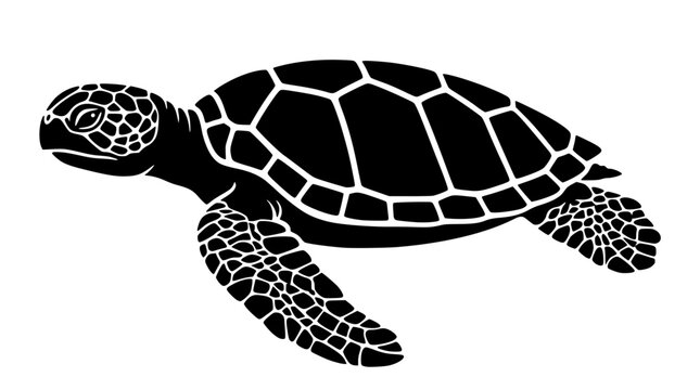 Black sea turtle swimming in the ocean vector graphic illustration