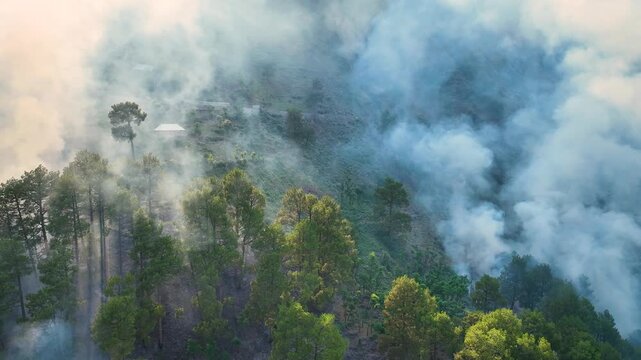 Thick smoke plumes rising from mountain forest fire on steep slope.