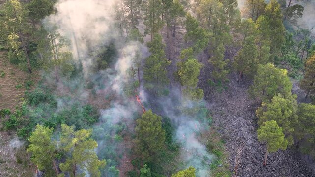 Climate change impact: Aerial of summer wildfire in Himalayan valley.