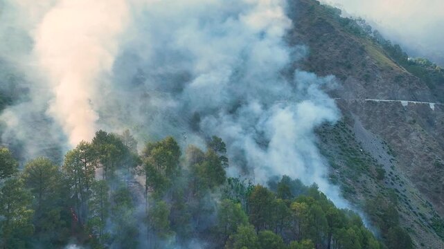 Dangerously thick smoke from raging forest fire on steep mountain.