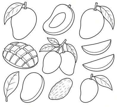 Mango fruit line art set coloring page with whole and sliced tropical mangoes and leaves outline illustration