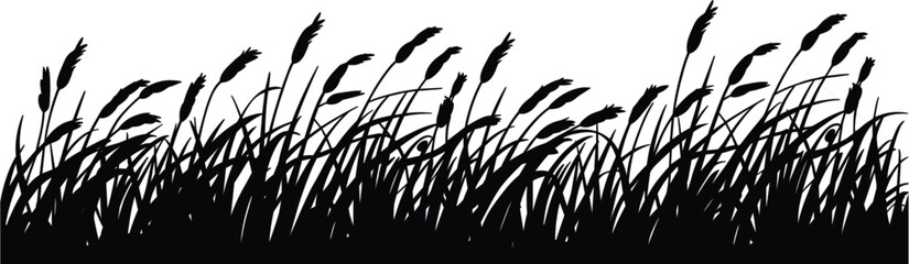 Wild grass silhouette border vector, natural meadow reeds and foliage landscape decorative design element © MASUMA