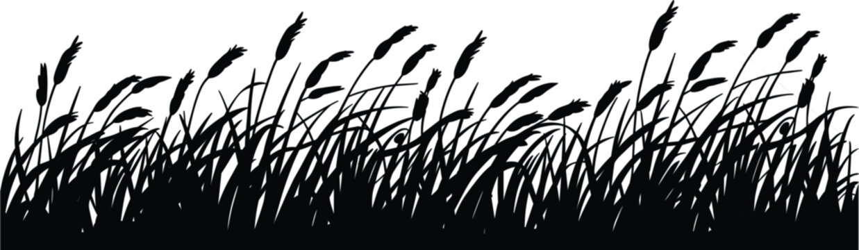 Wild grass silhouette border vector, natural meadow reeds and foliage landscape decorative design element