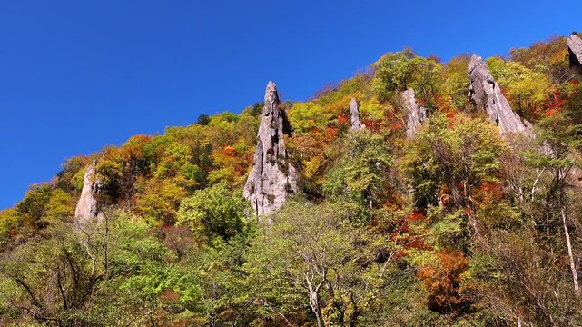 天人峡（七福岩）の紅葉