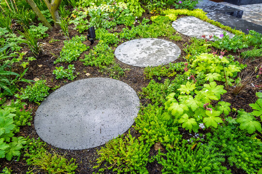 Lush garden path with stepping stones and vibrant green foliage