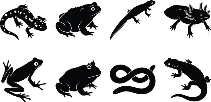 Amphibians and reptiles silhouettes collection featuring frog toad axolotl salamander newt and snake isolated on white background