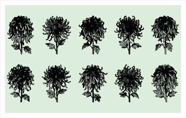 Fototapeta premium Minimalist Flower Silhouettes and Line Art Set