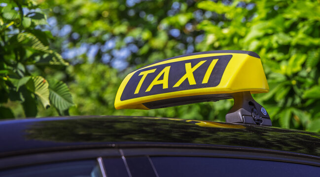 Yellow taxi sign on top of a car with green foliage in the background
