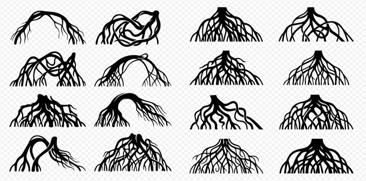 Set of various tree and plant root systems in black silhouette, isolated on a transparent background, depicting natural growth and underground structures.