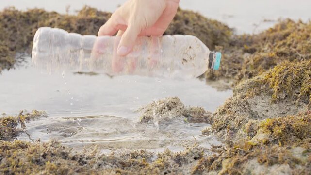 environmental cleanup, an environmentalist hand picking up a plastic bottle in sea or ocean, water pollution, responsibility