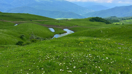 Green Highland Meadow with Wildflowers and Small Mountain Pond © Karen