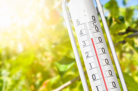 A close up of an outdoor thermometer showing high temperature against a backdrop of blurred tree leaves with bright sunlight