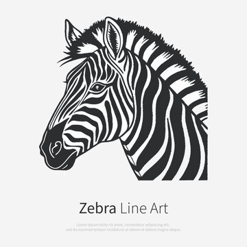 Zebra head, black and white isolated vector illustration in vintage engraving style.