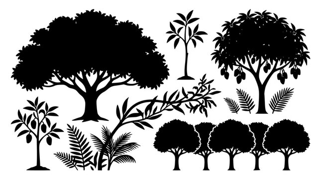 Nature garden tree and plant silhouette vector collection featuring black foliage branch forest shrub oak mango tree and fern symbols